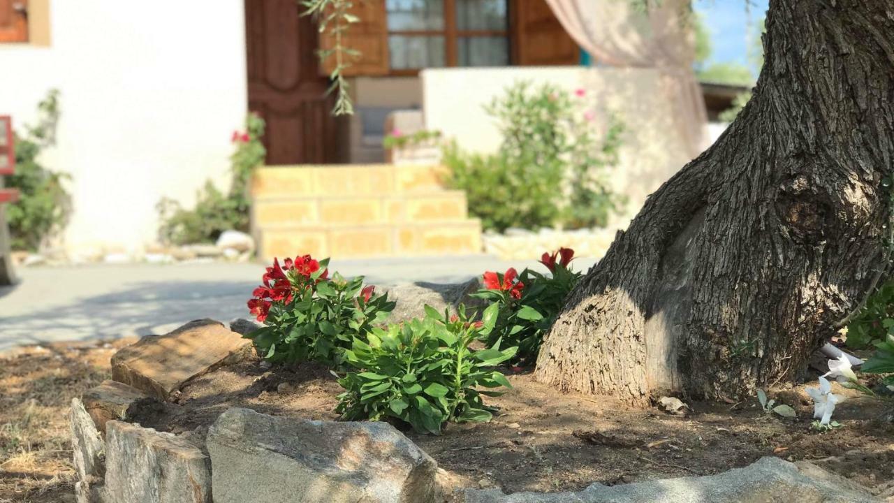 Dream House Villa Alikí Kültér fotó